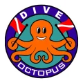 octopus (1)
